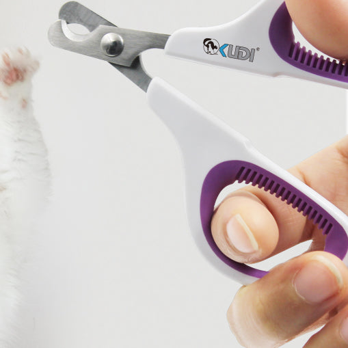 Premium Nail Clipper with File (Small)